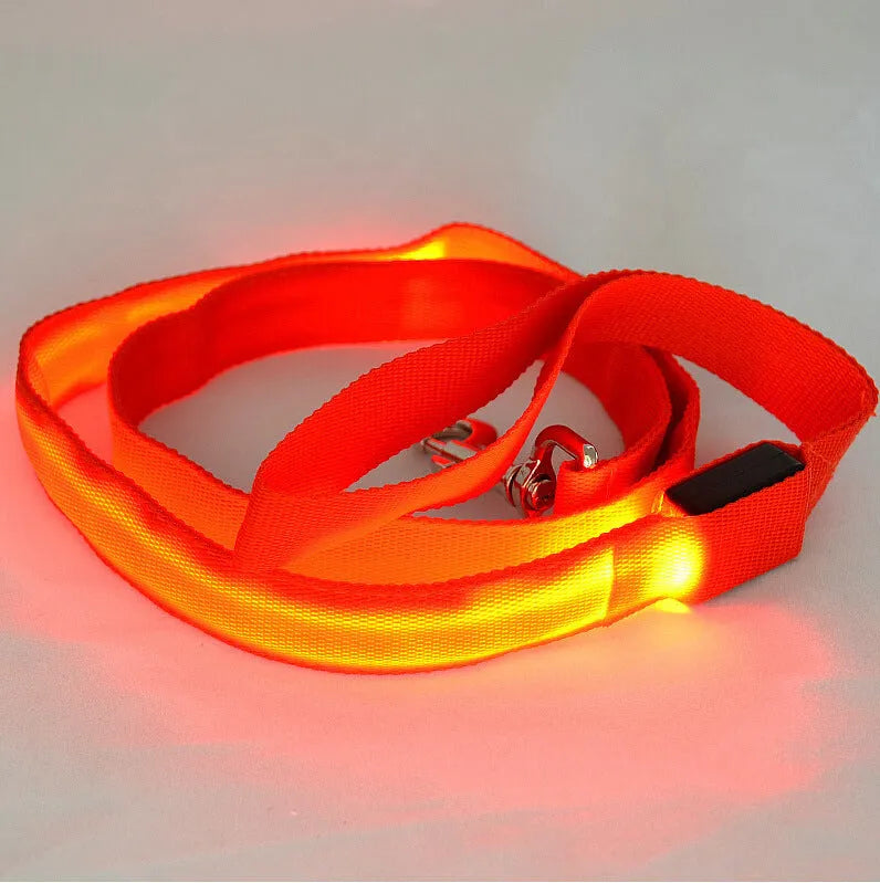 Glowing LED dog leash in blue colour with nylon webbing and buckle clip on a dark background