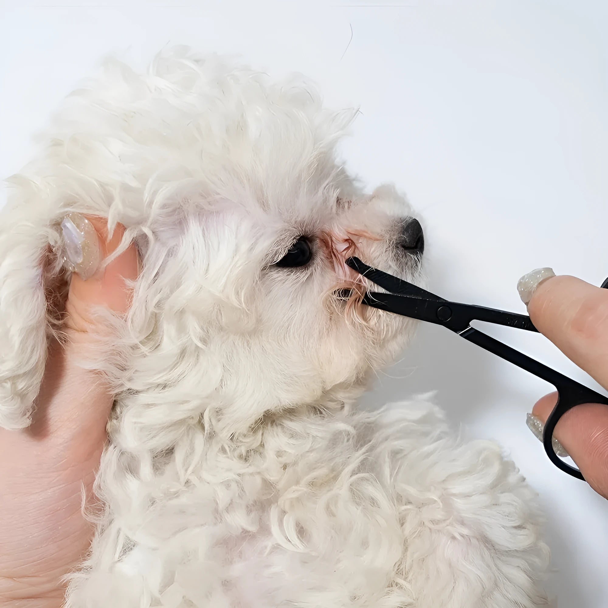 Black ambidextrous pet grooming brush with soft bristles and a comb for dogs and cats.