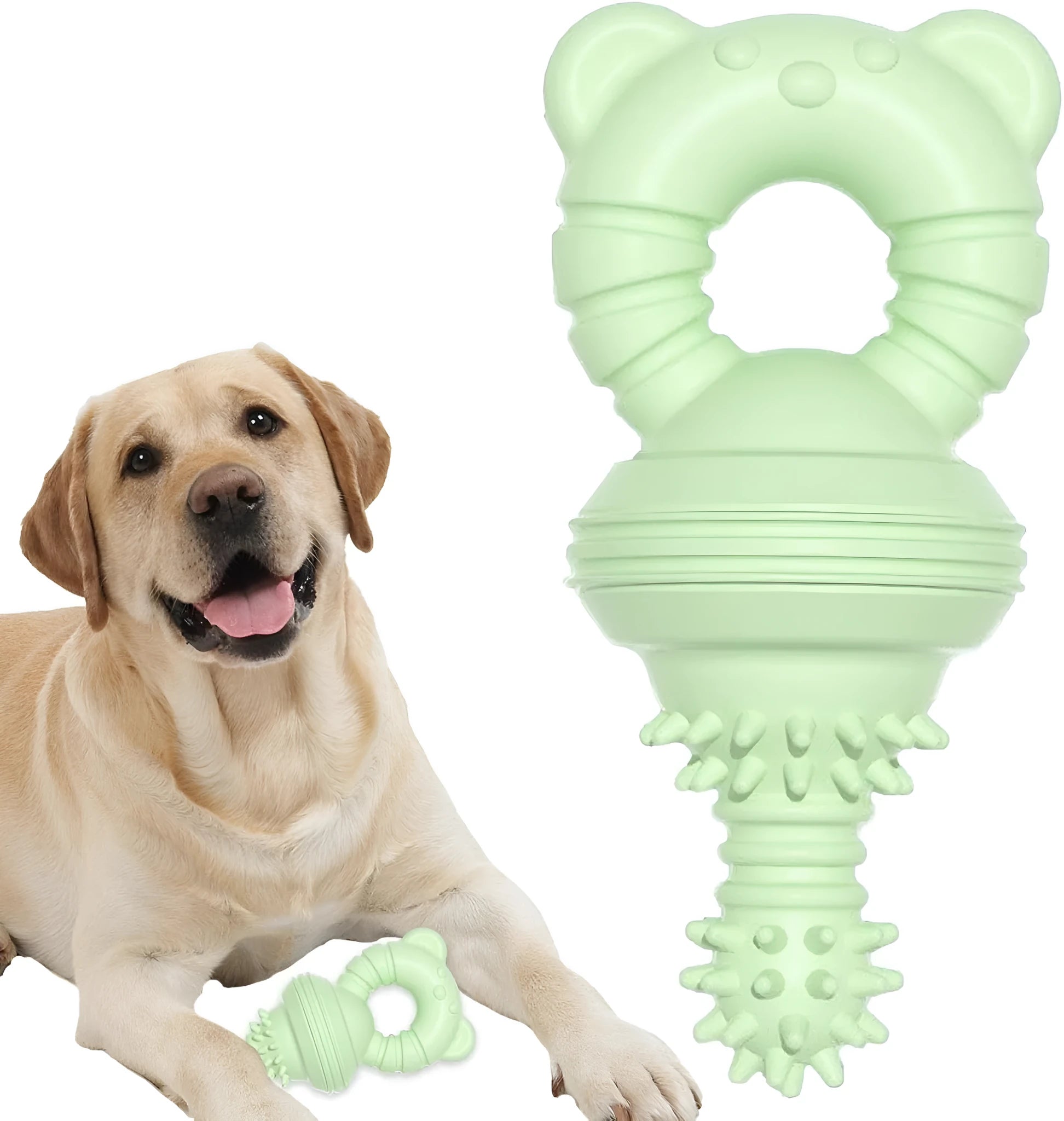 Blue molar-shaped rubber chew toy for dogs with concave-convex texture