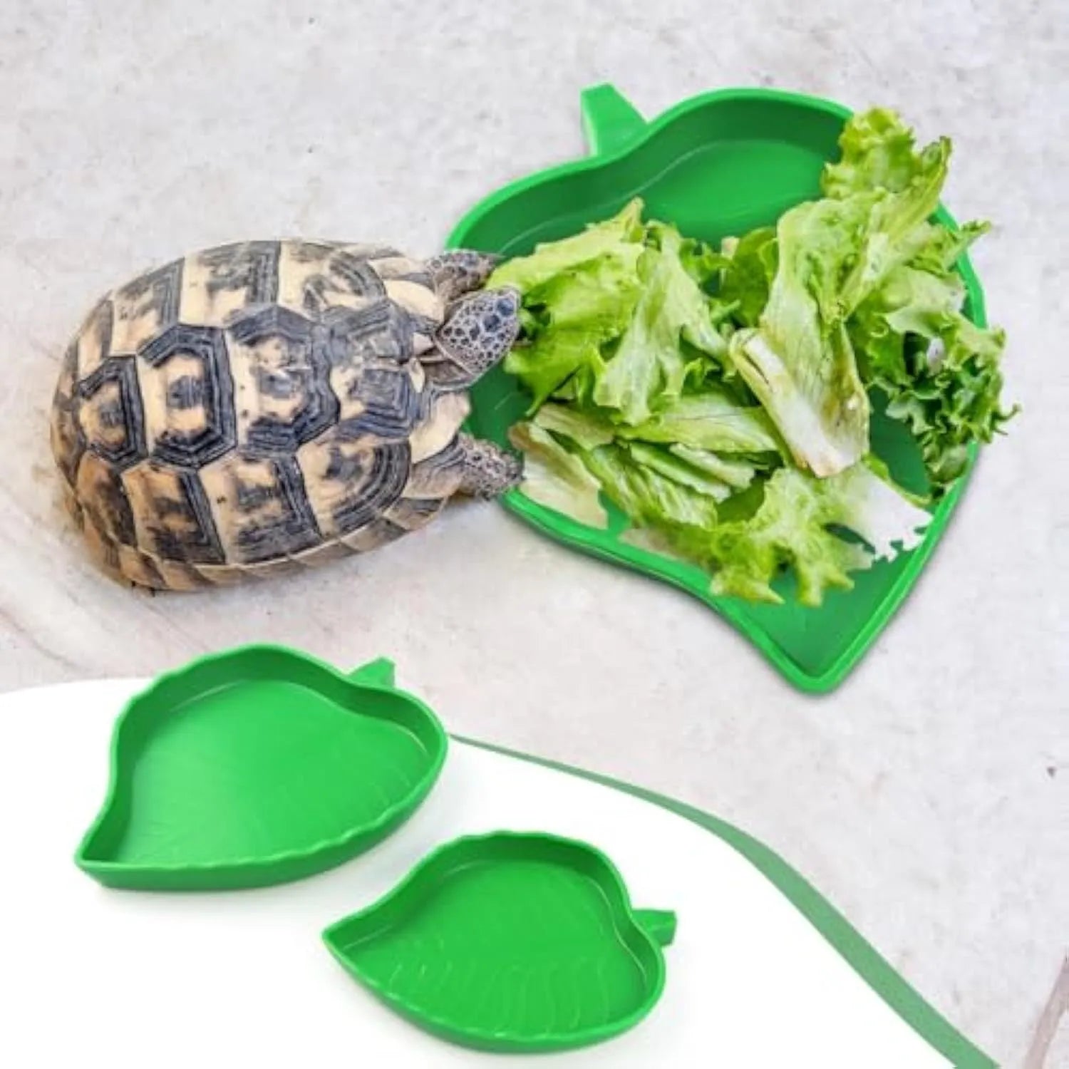 2 pcs leaf-shaped reptile food and water bowls in large and small sizes, made from plastic