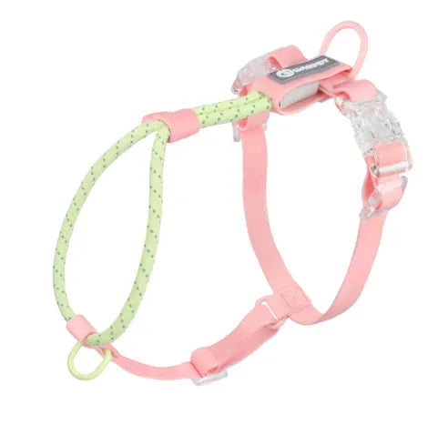Solid colour PVC dog hand holding rope in crimson purple yellow or taoyao green showing 120cm length