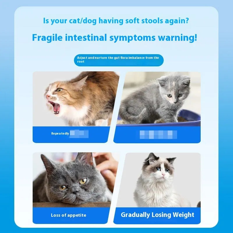 Bottle of Pet Active Probiotic Tablets containing 180 tablets for cat and dog digestive health.