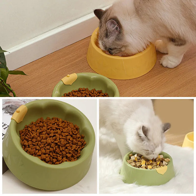 Green plastic double pet bowl for dog and cat food and water on a white surface