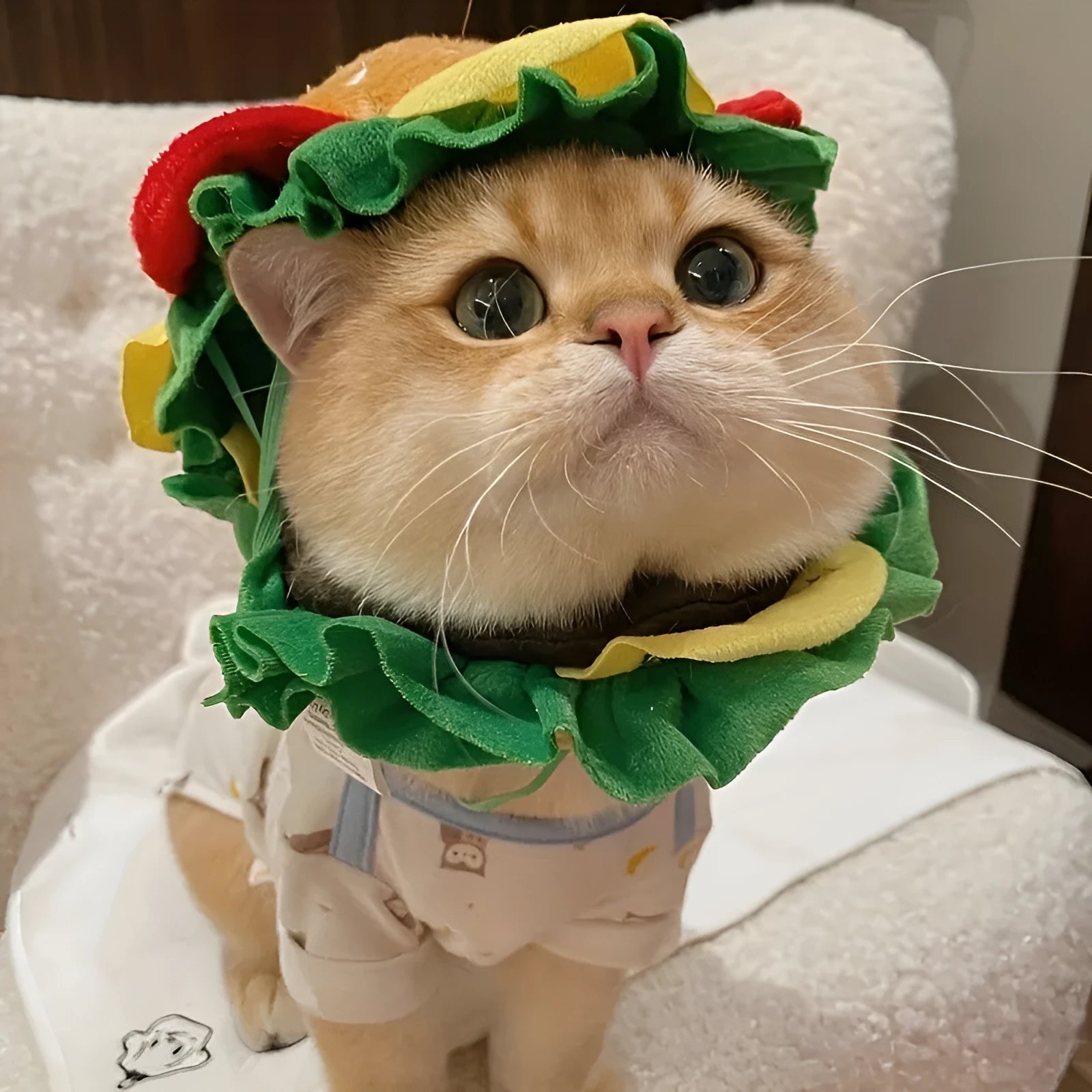 Cat wearing burger-themed headdress collar with adjustable polyester construction