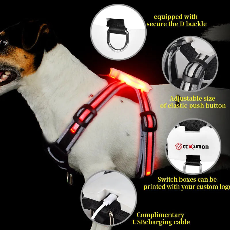 Seven-colour luminous dog lead with charging cable in nylon construction showing size options