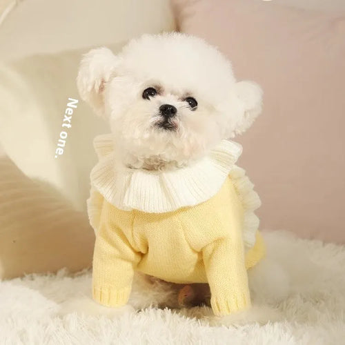 Yellow XINGX and Fairy Dress style acrylic knit dog sweaters for small breeds in autumn.