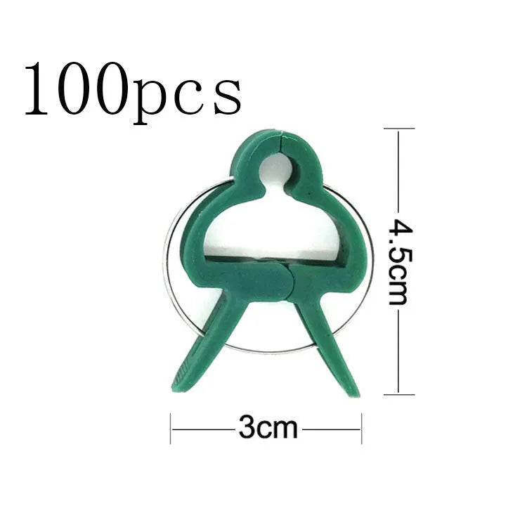 Green plastic and zinc plant fixing clips for supporting climbing beans and tomatoes.