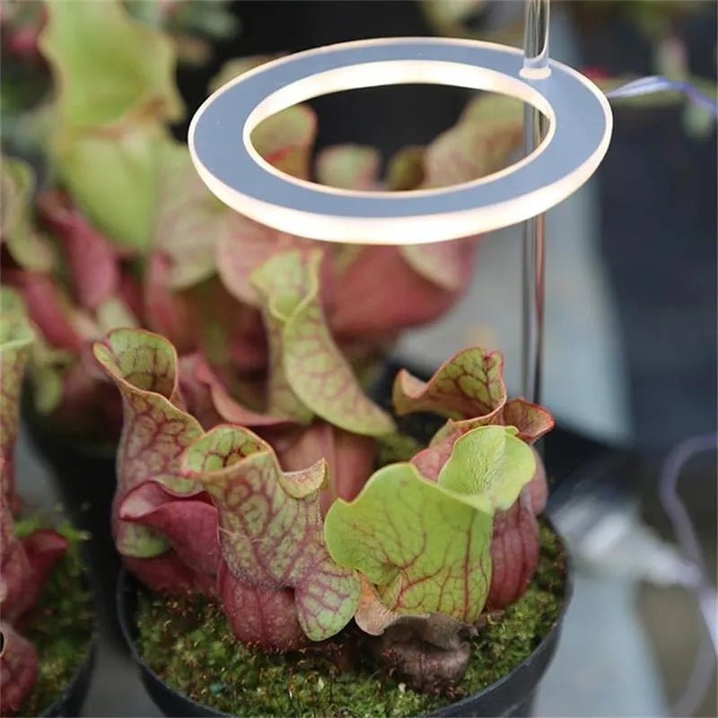 USB LED grow light with acrylic stick for indoor plant growth lighting