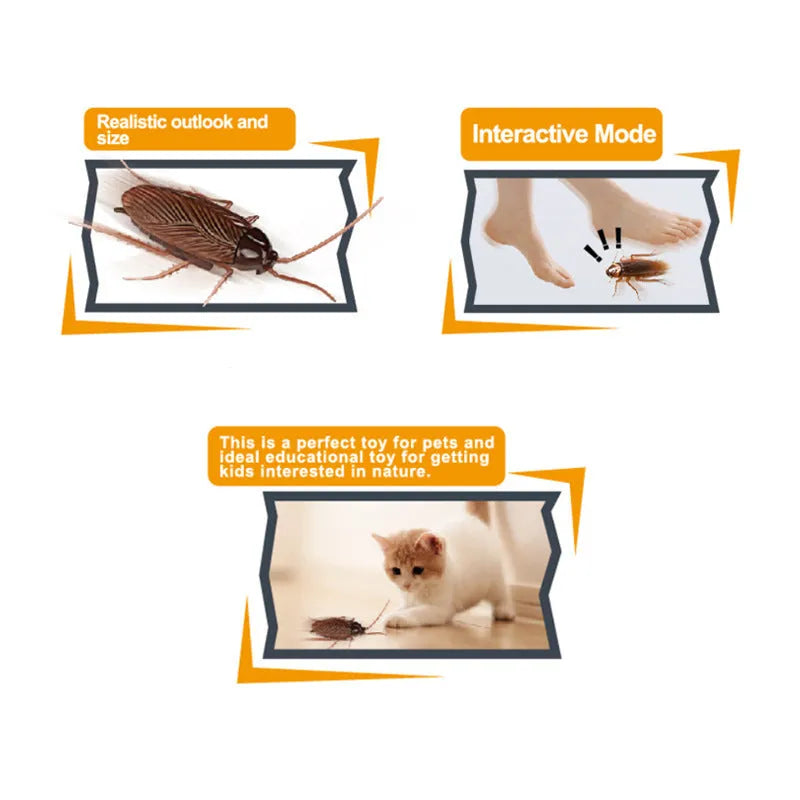 Electric vibration pet toy in four animal designs: cockroach, tarantula, mouse, and dragonfly