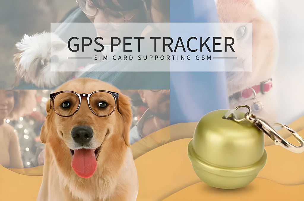 GPS pet tracking collar with adjustable strap shown in multiple colours including black, brown, green, and pink