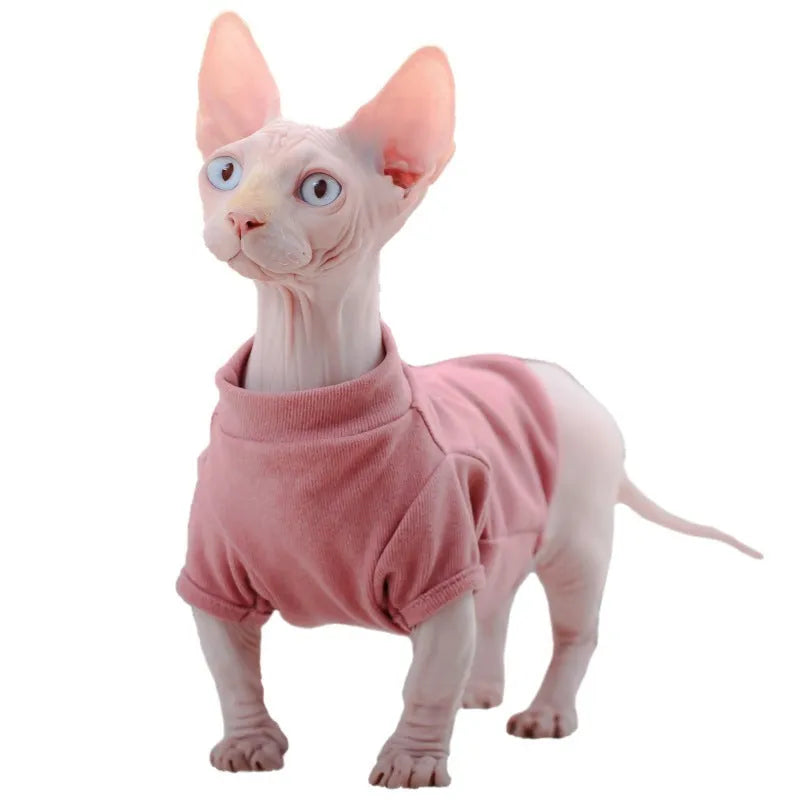 Hairless cat wearing toothpick Dralon jumper in cherry pink, two-foot design for front legs, soft autumn winter pet clothing