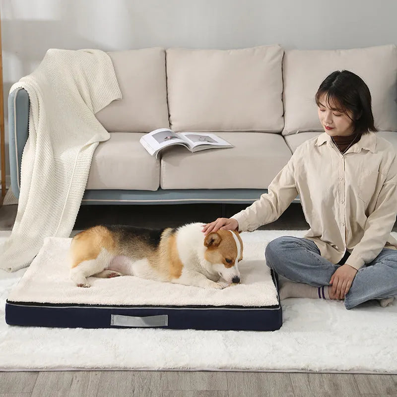 Removable washable memory sponge dog mat in brown, shown with a detached cover for cleaning.