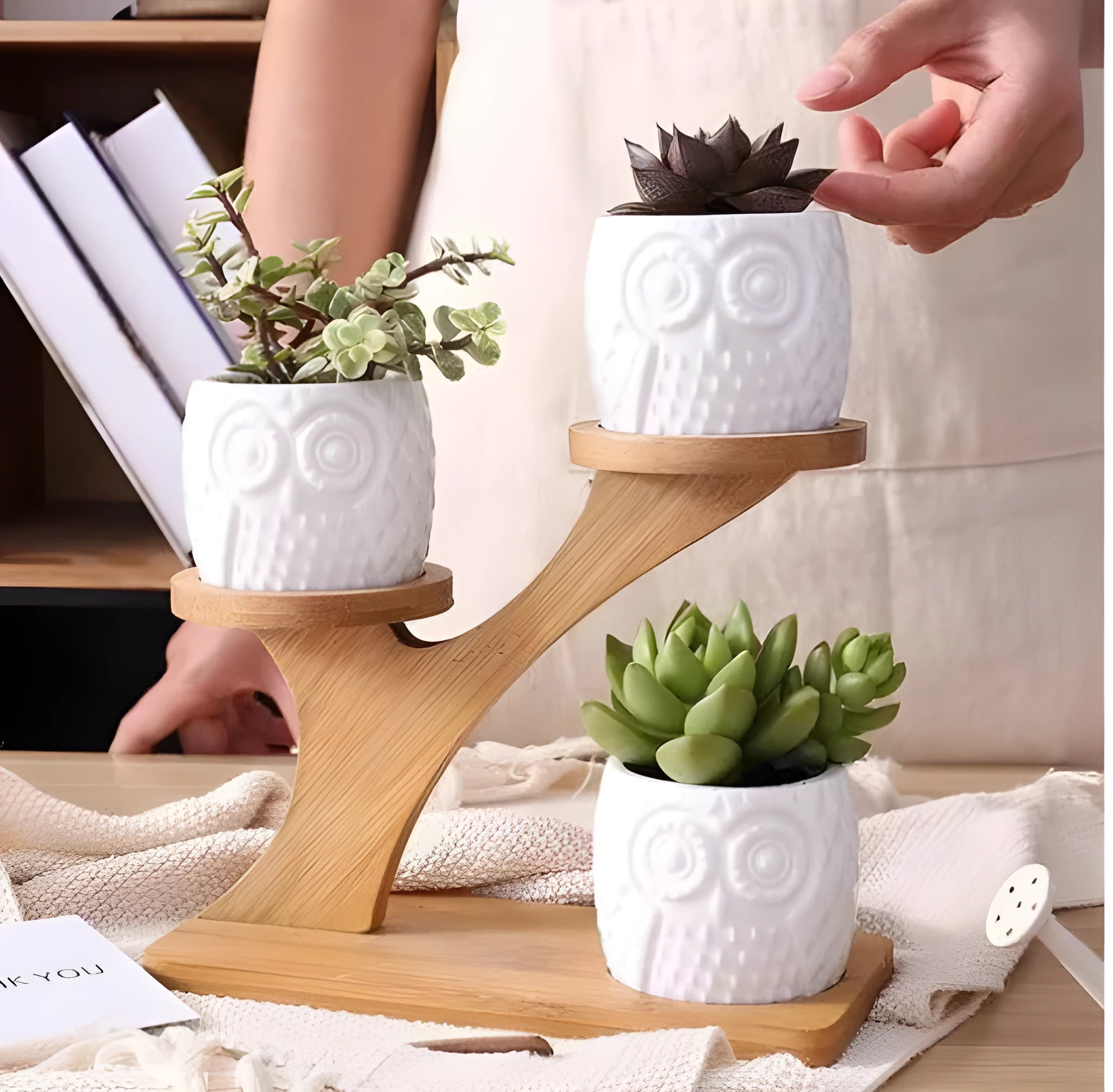 Set of three white ceramic owl planters on a bamboo tree stand against a neutral background