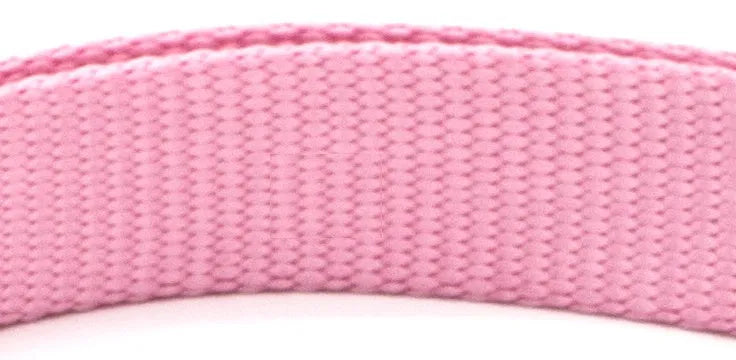 Soft nylon pet collar with neoprene lining, adjustable buckle, and metal D ring on a solid background