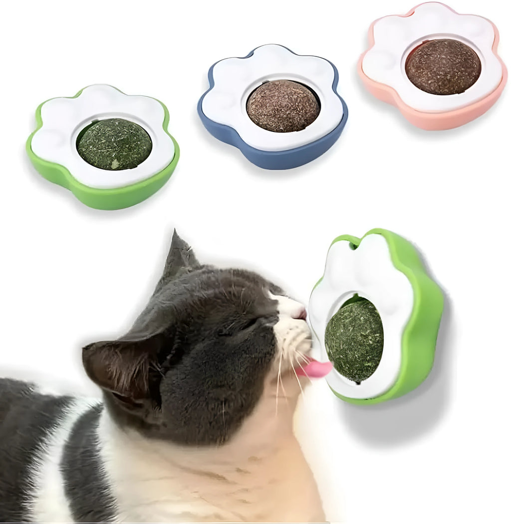 Colourful edible vine catnip ball toy for cats in blue green or pink for dental cleaning