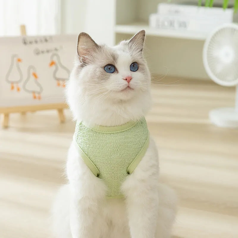 Colourful knitted cat clothes with a bear patch, showing hollowed-out breathable fabric.