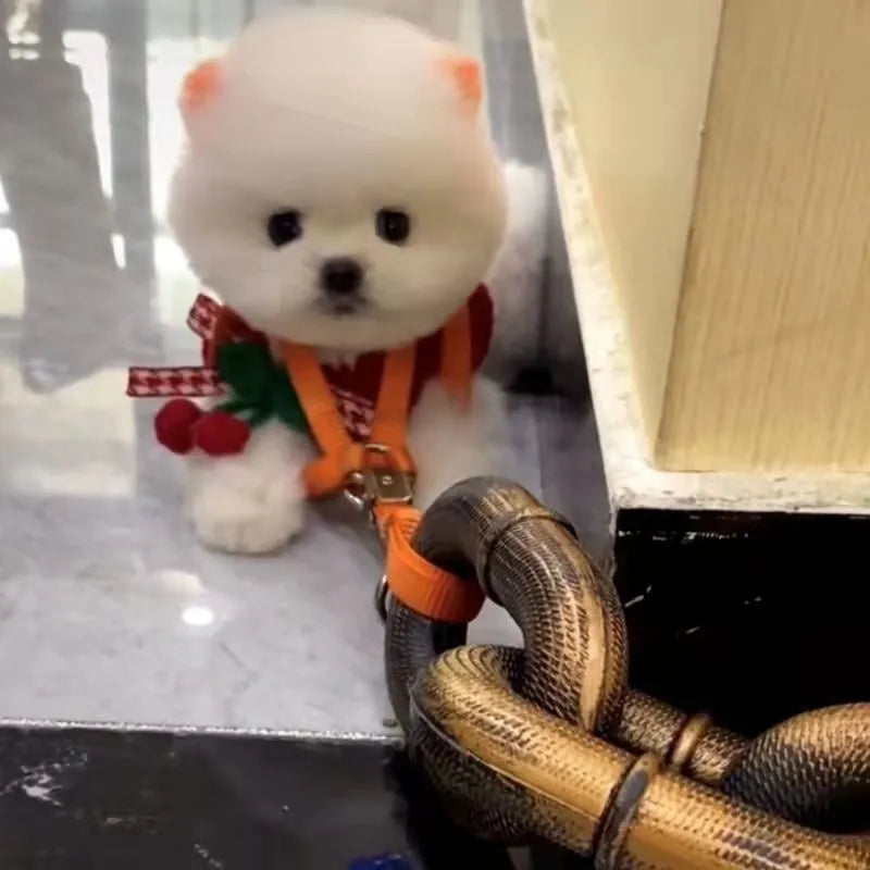 Simulation dog leash rope prop in antique silver, bronze, or black colour for video filming.