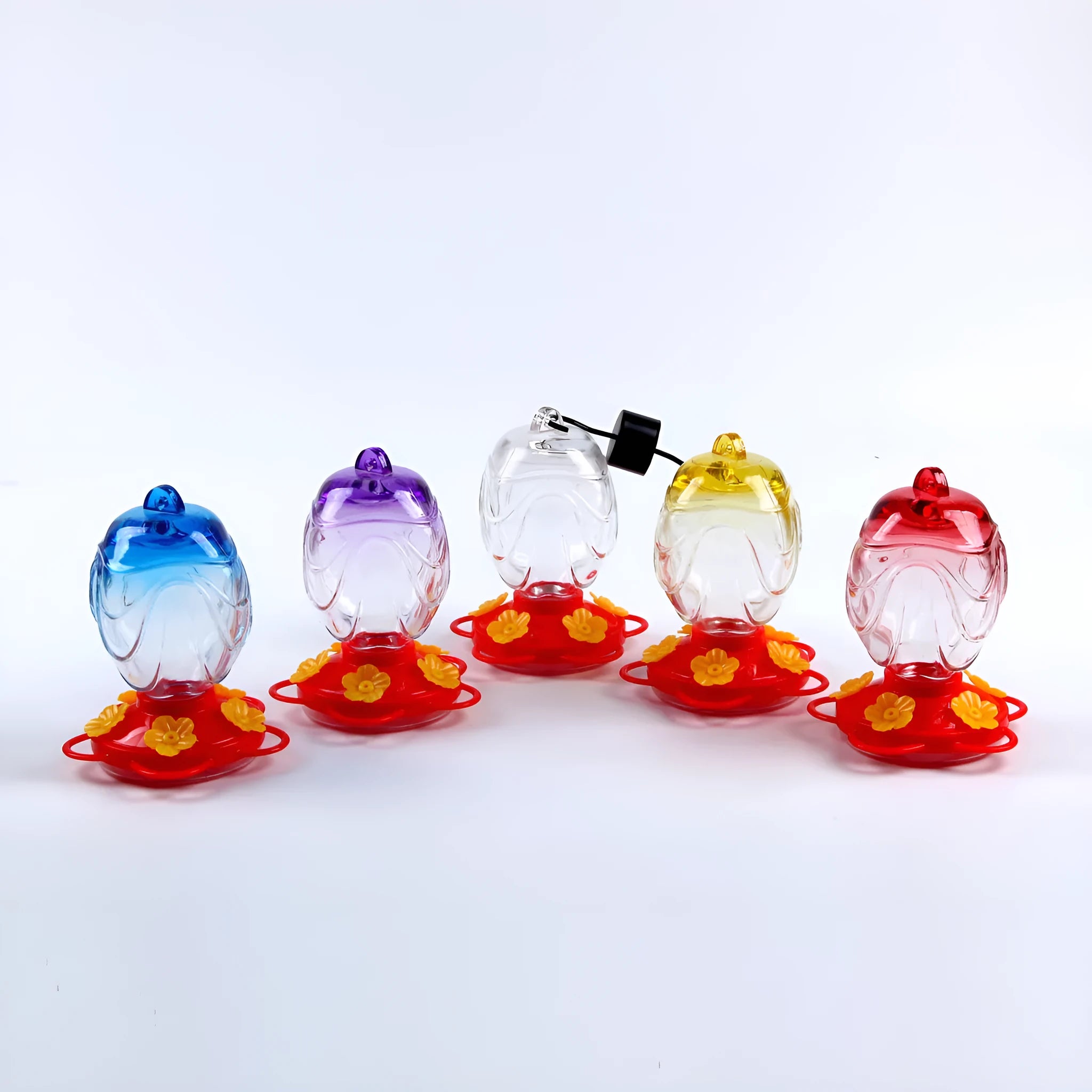 Painted glass feeder for aquarium decoration in transparent colour