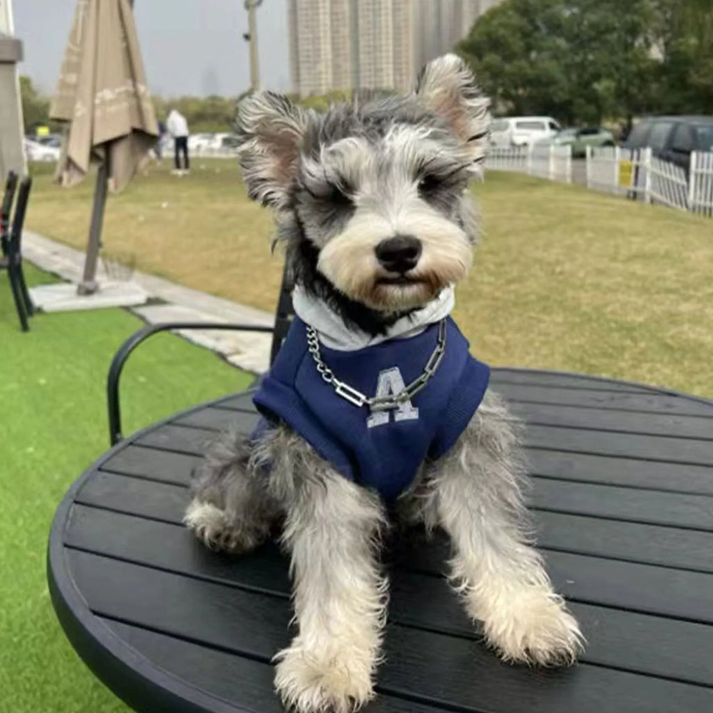 Blue and grey white pet hoodie with reflective letters for cats and dogs in slim-fitting design