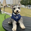 Blue and grey white pet hoodie with reflective letters for cats and dogs in slim-fitting design