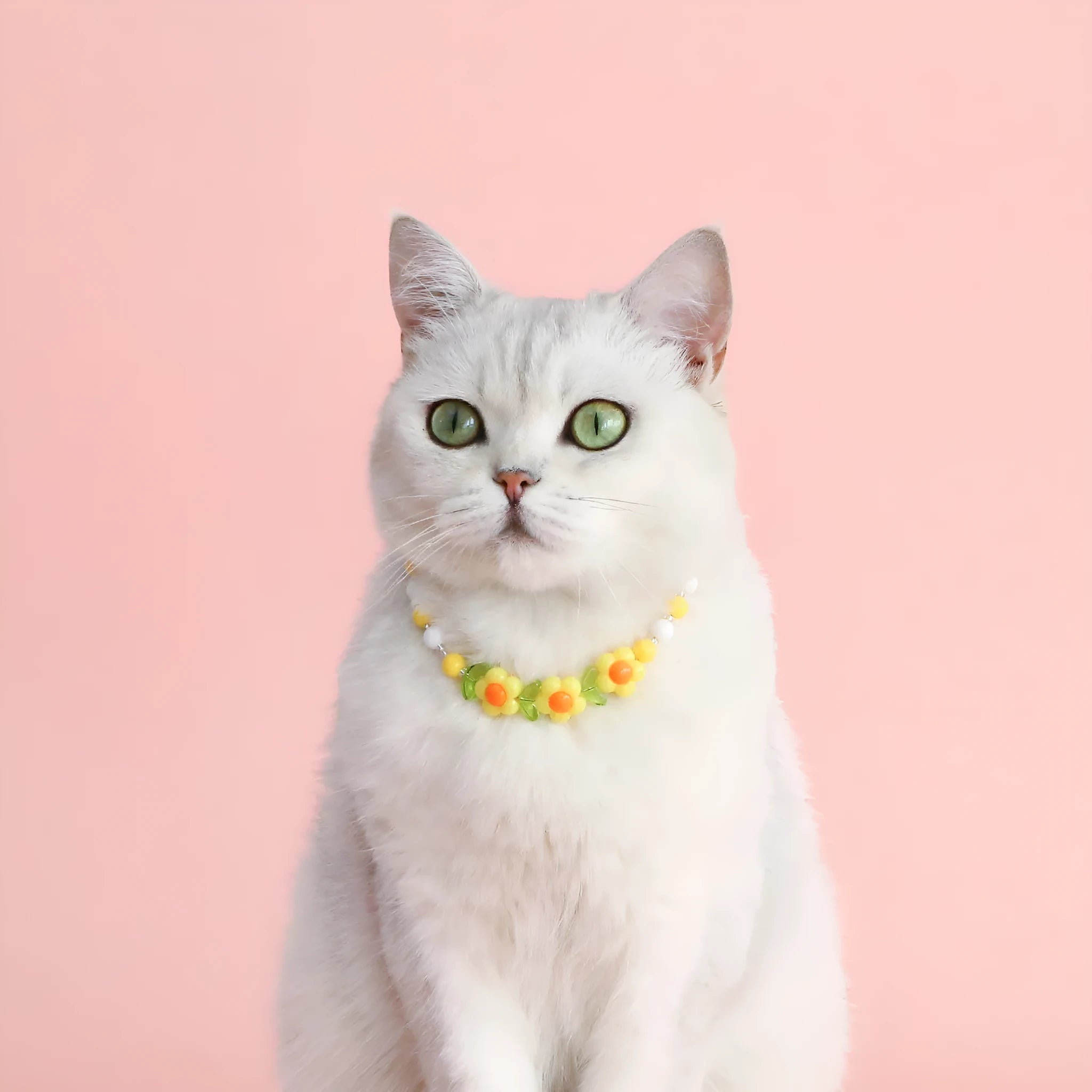 Colourful plastic bead necklace for small pets in rainbow, peach, or small flower patterns with adjustable sizing