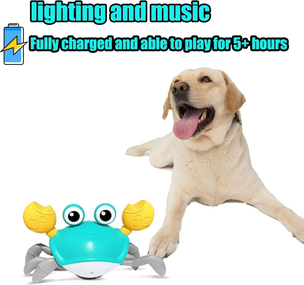Blue or red electronic crab toy with automatic crawling movement for dogs and cats