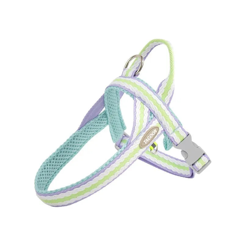 Y-style dog harness and matching 1.4 metre traction rope in coral orange for dogs 2kg to 17.5kg