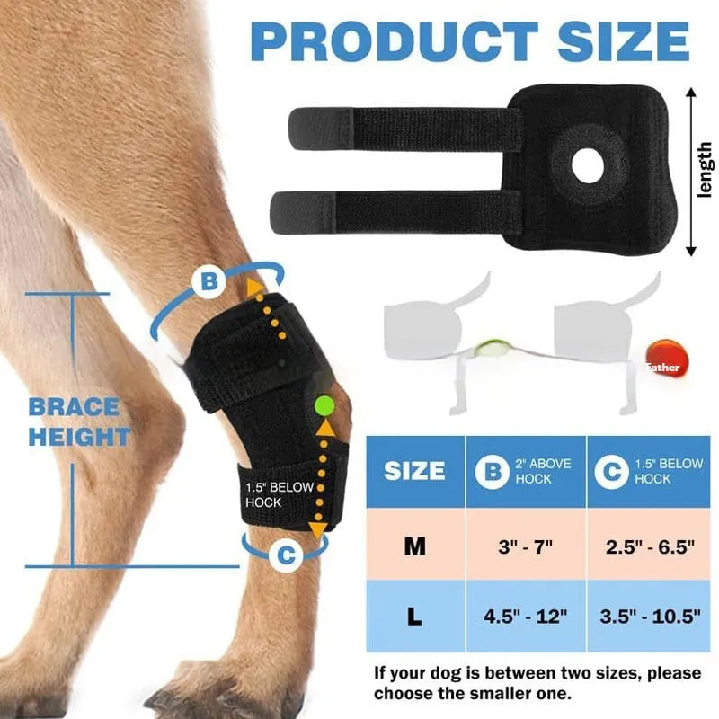 Black pet leg guard for ACL and joint protection showing adjustable fit and polyester construction