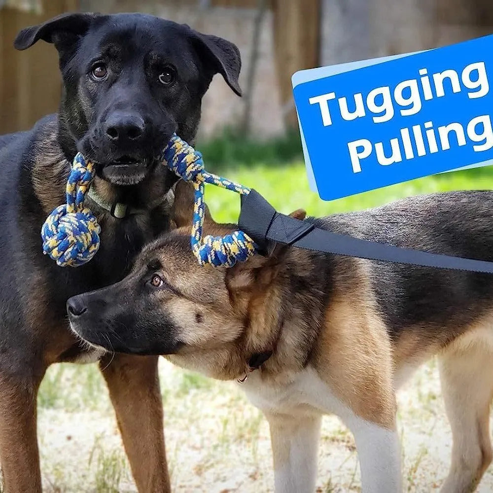 Green dog tug of war rope toy with cotton rope and a choice of corncob, teether ball, or handle draw attachments.