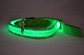 Glowing LED dog leash in blue colour with nylon webbing and buckle clip on a dark background