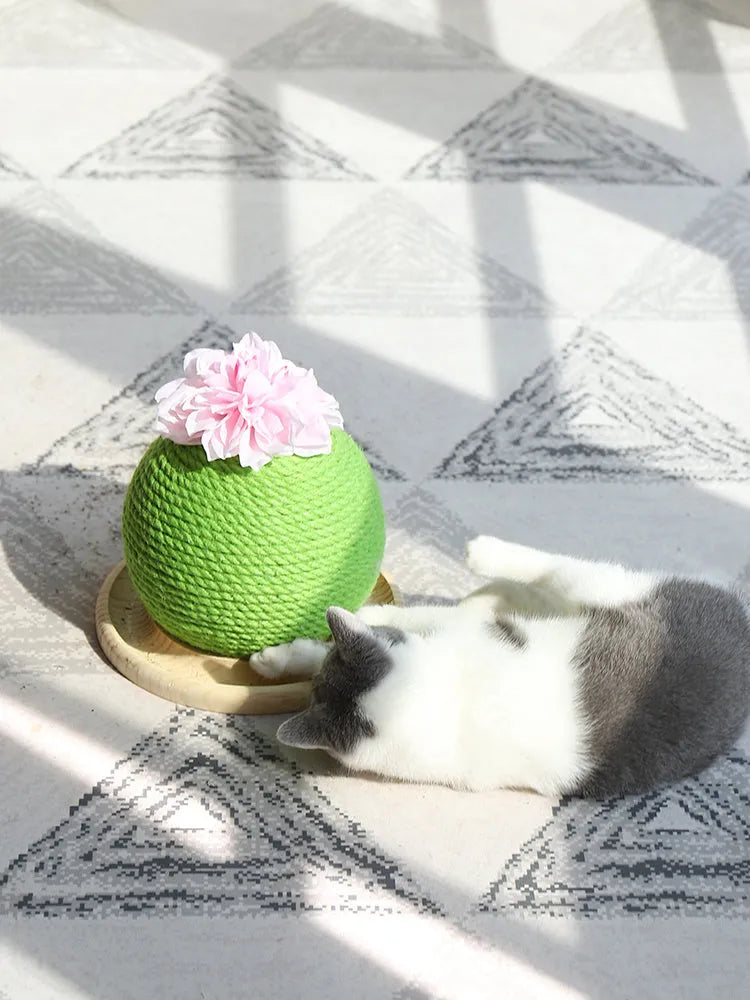 Cactus-shaped vocal cat toy with grinding paw surface and three colour options on a floor