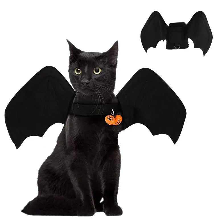 Black cloth pet bat costume with 3D wings on a dog or cat, available in sizes S M L