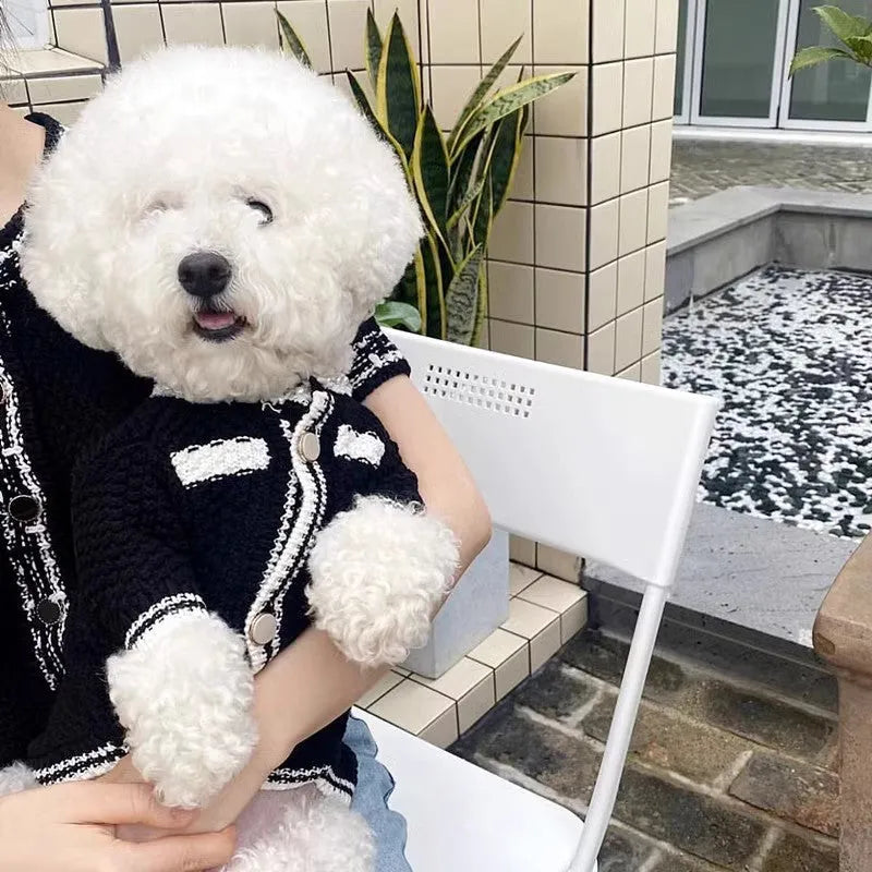 Korean style white dog sweater with pearl collar for small dogs showing princess design and size options