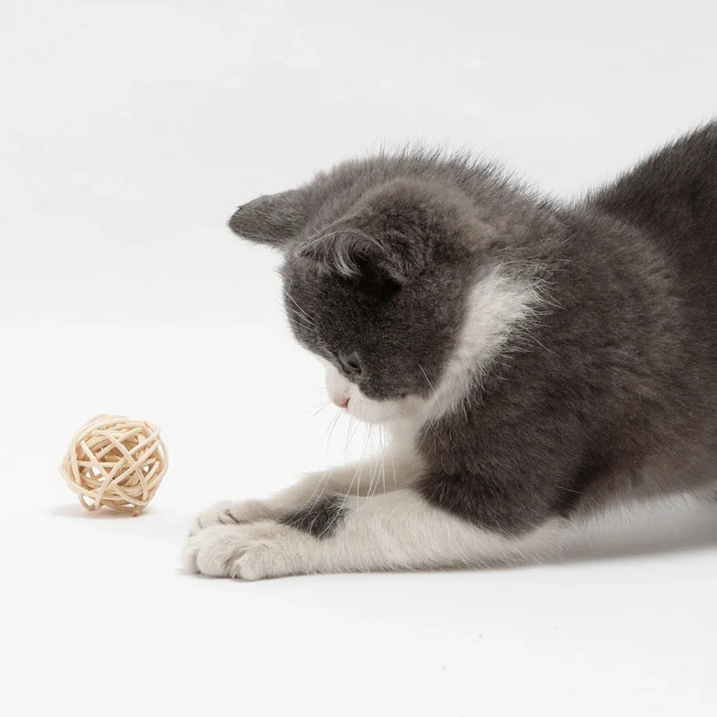 Two cat toys: a natural rattan ball and a colourful faux feather ball with a bell on a white background.