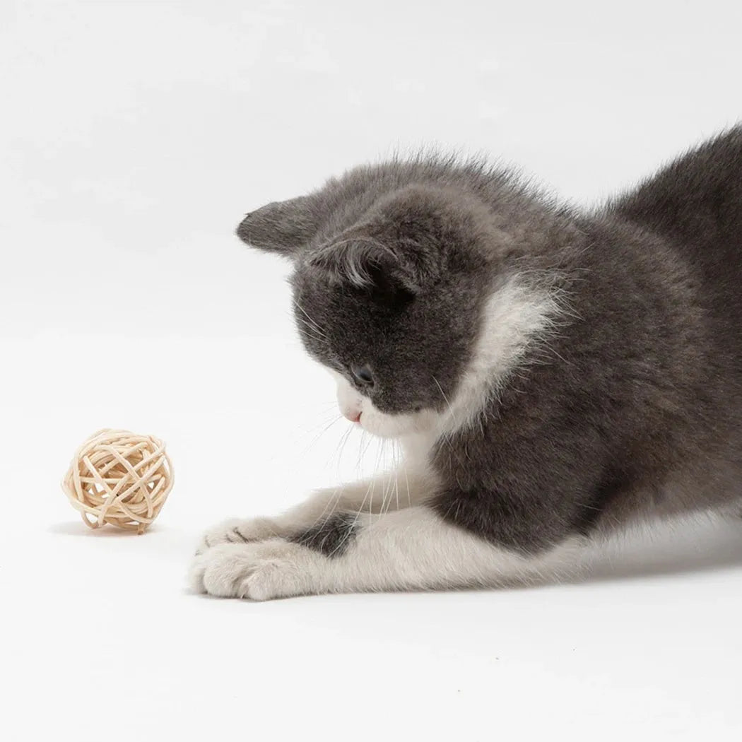Two cat toys: a natural rattan ball and a colourful faux feather ball with a bell on a white background.