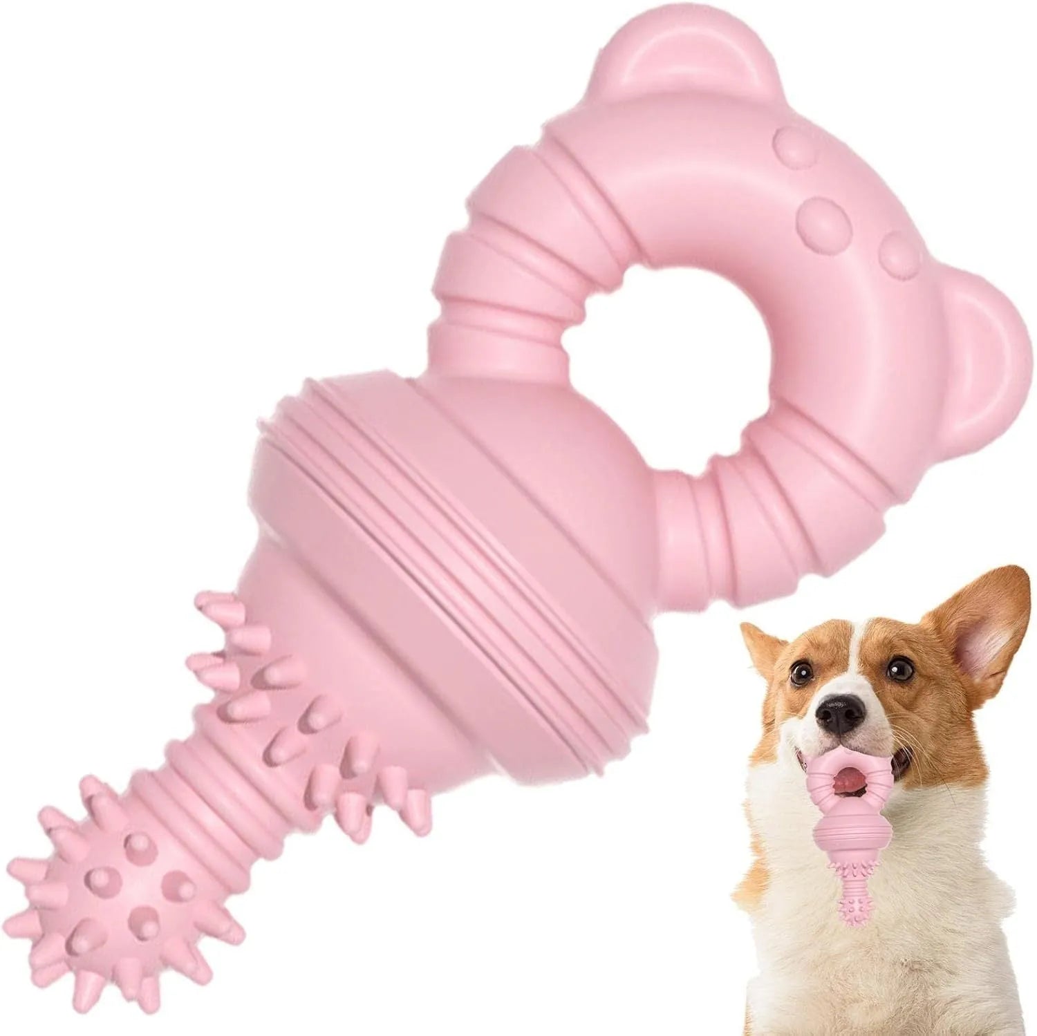 Blue molar-shaped rubber chew toy for dogs with concave-convex texture