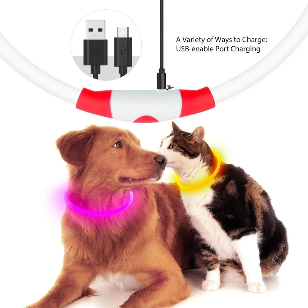 USB rechargeable LED dog safety collar with glowing light, adjustable 70cm TPU strap