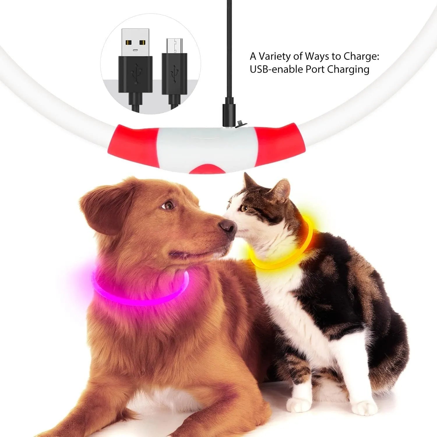 USB rechargeable LED dog safety collar with glowing light, adjustable 70cm TPU strap