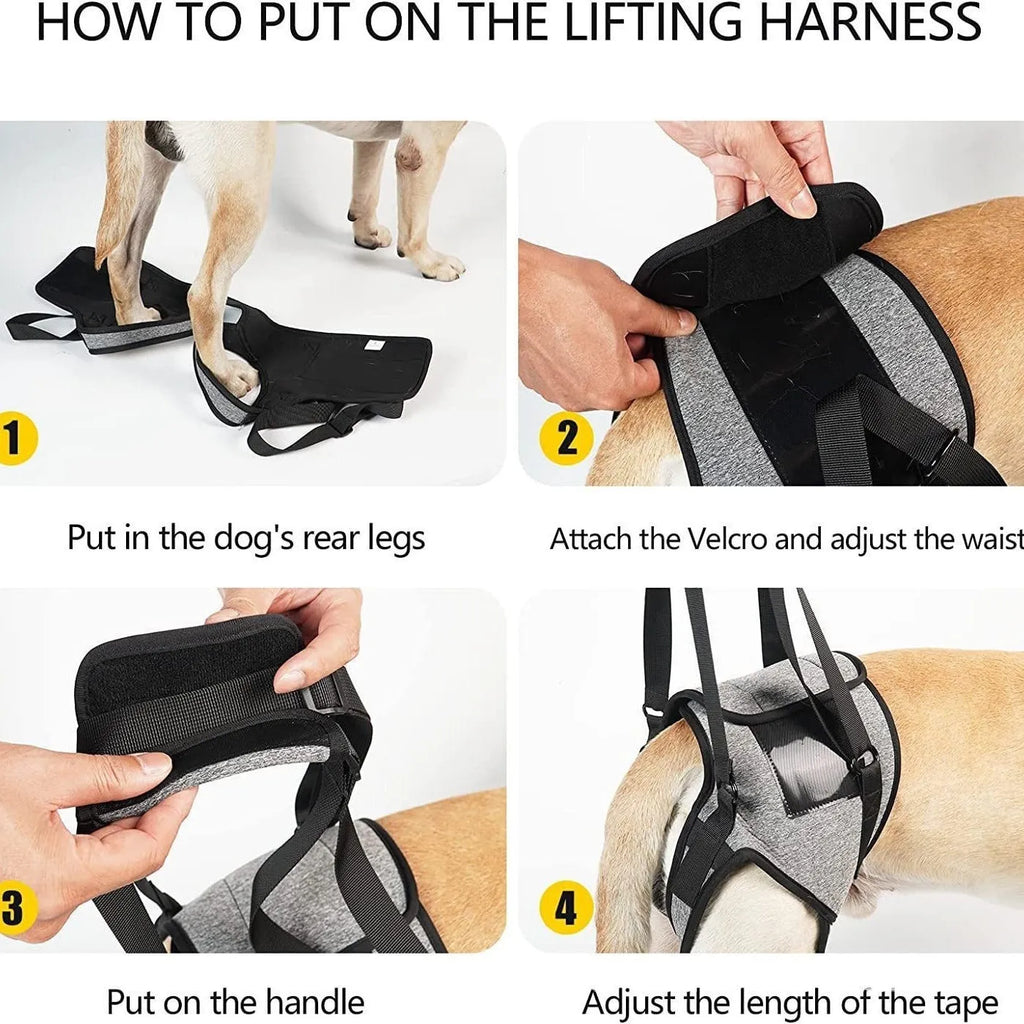 Grey neoprene dog rear leg recovery belt showing waist and thigh support areas