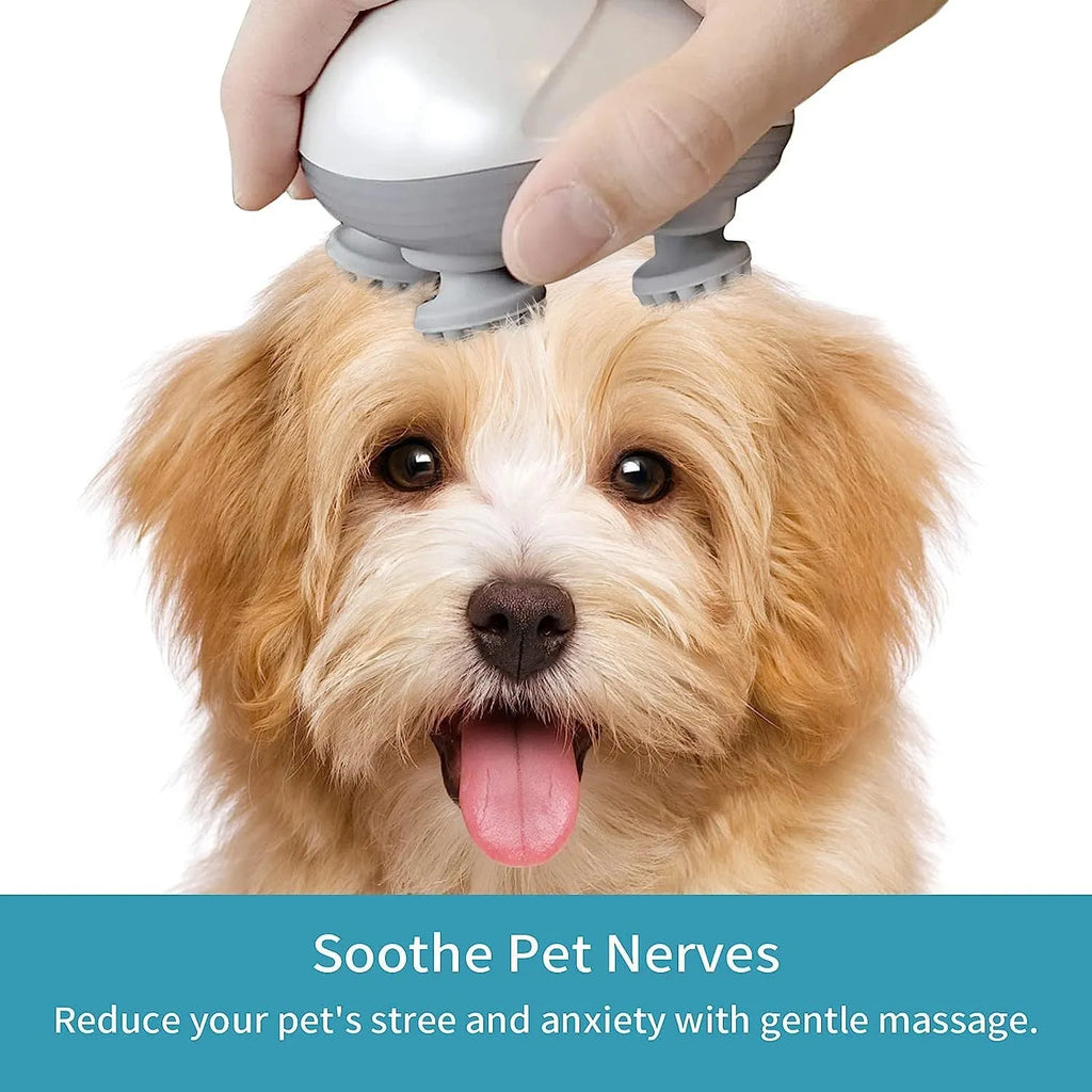 Blue electric pet massager with four rotating heads held in hand next to cat