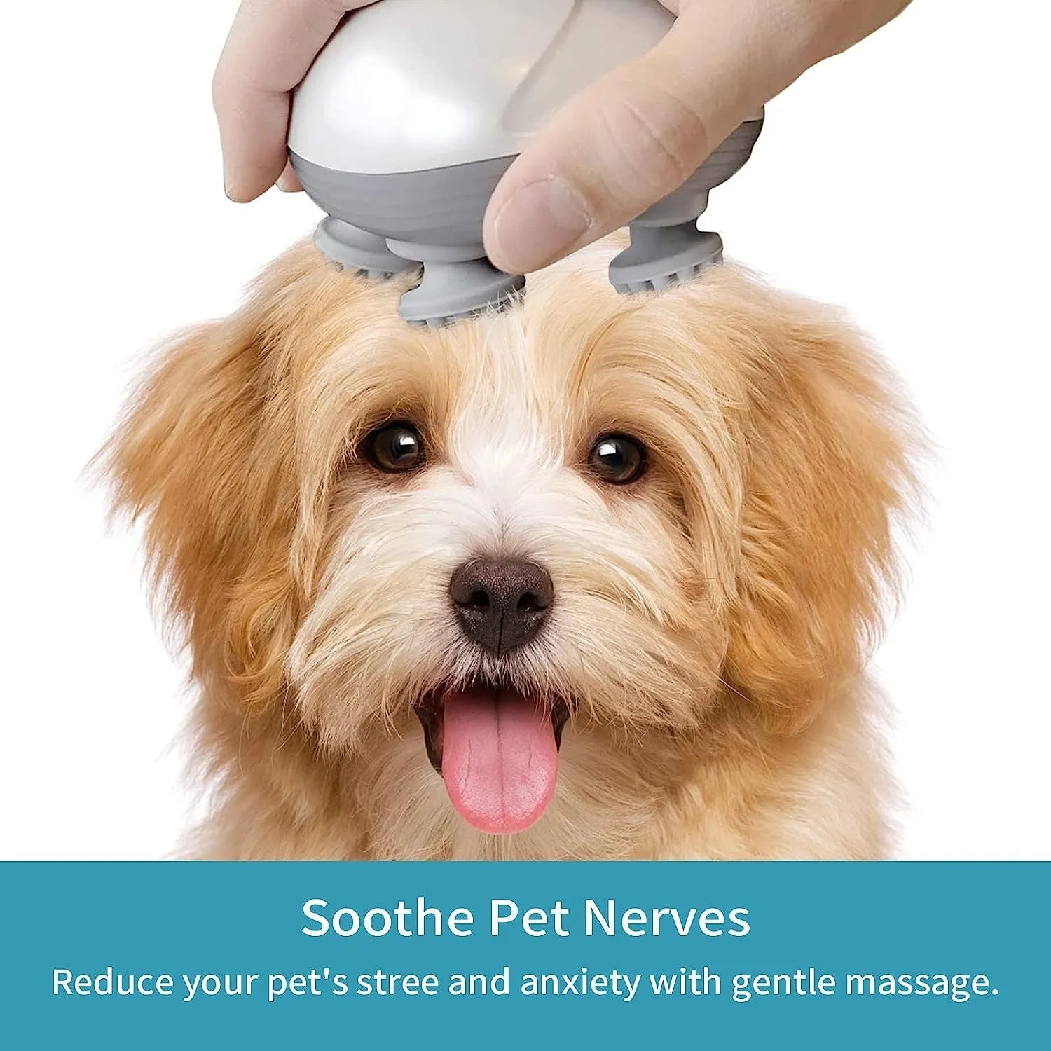Blue electric pet massager with four rotating heads held in hand next to cat