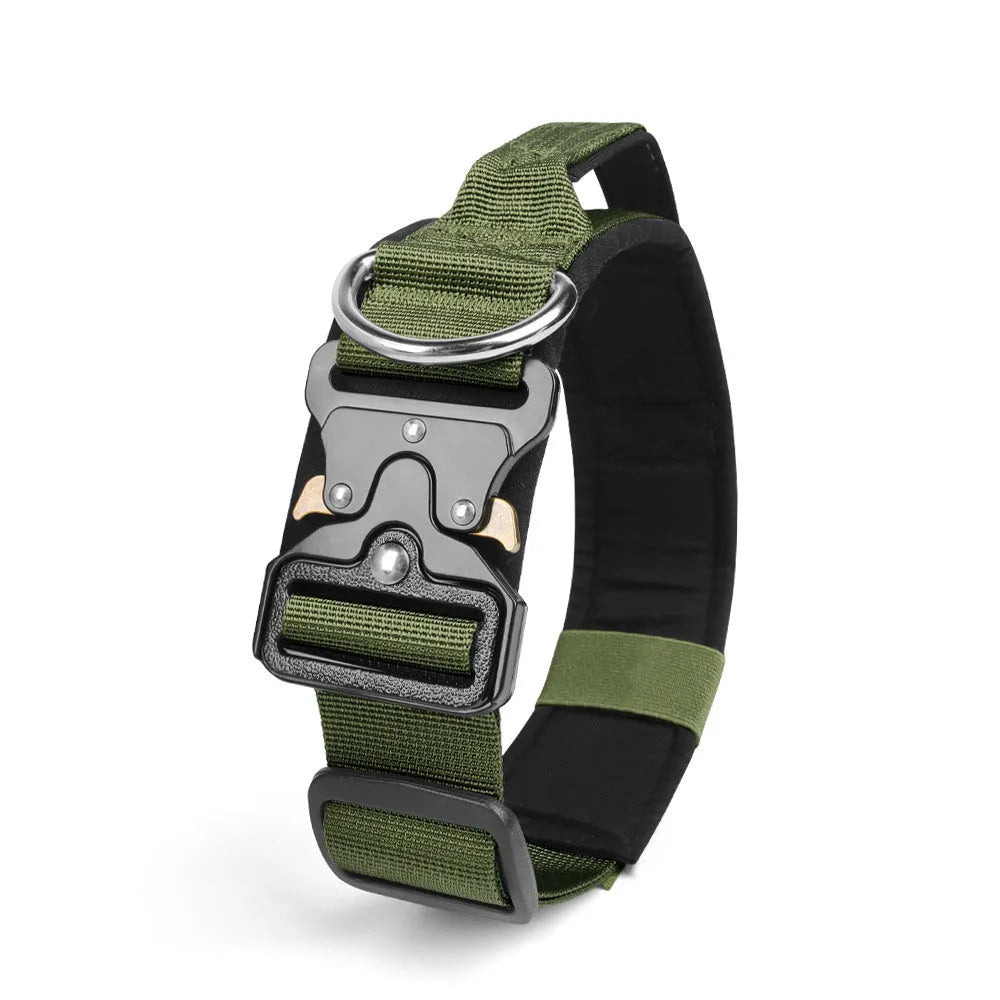 Explosion-proof tactical polyester dog collar in Army Green with metal buckle on neutral background