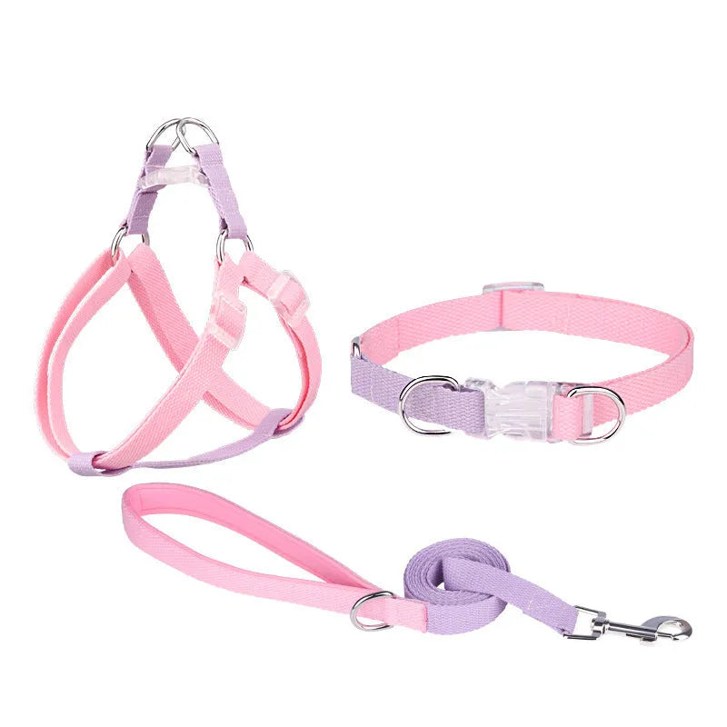Polyester ribbon dog collar set with matching lead and chest strap in assorted colour combinations