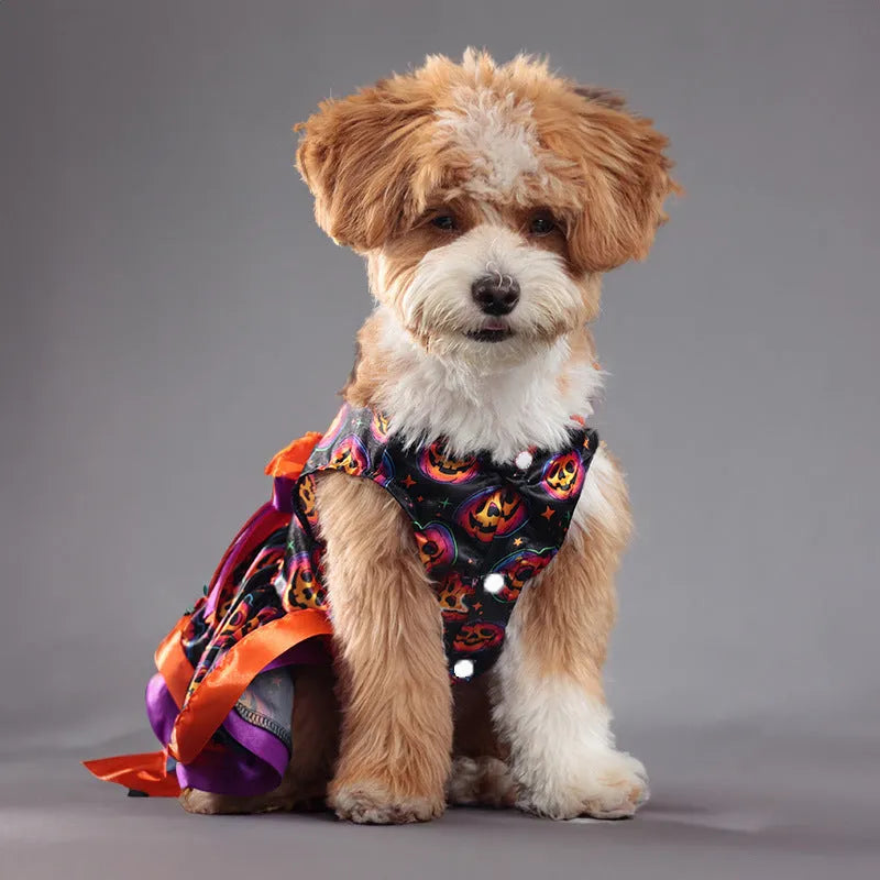 Halloween pet skirt for dogs with colourful pumpkin pattern and double-layer construction