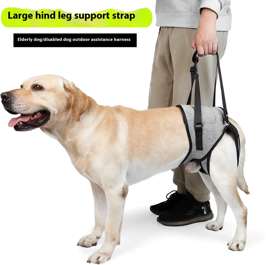Grey neoprene dog rear leg recovery belt showing waist and thigh support areas
