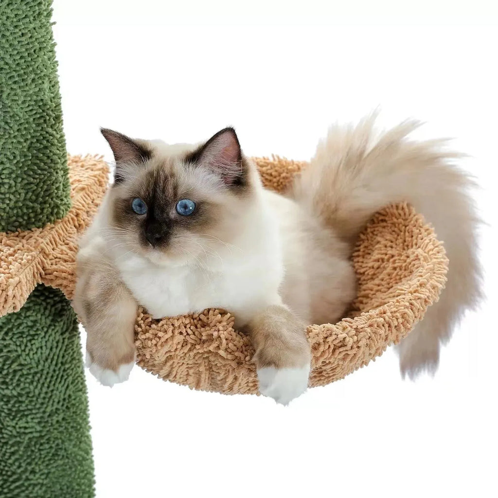 Tall solid wood cat climbing frame with integrated scratch board and built-in cat nest