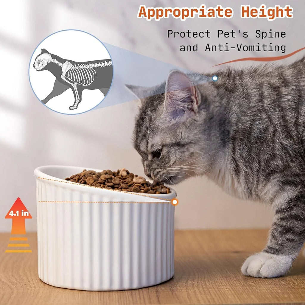Elevated ceramic cat bowl in green, showing tilted design and raised height for feeding.