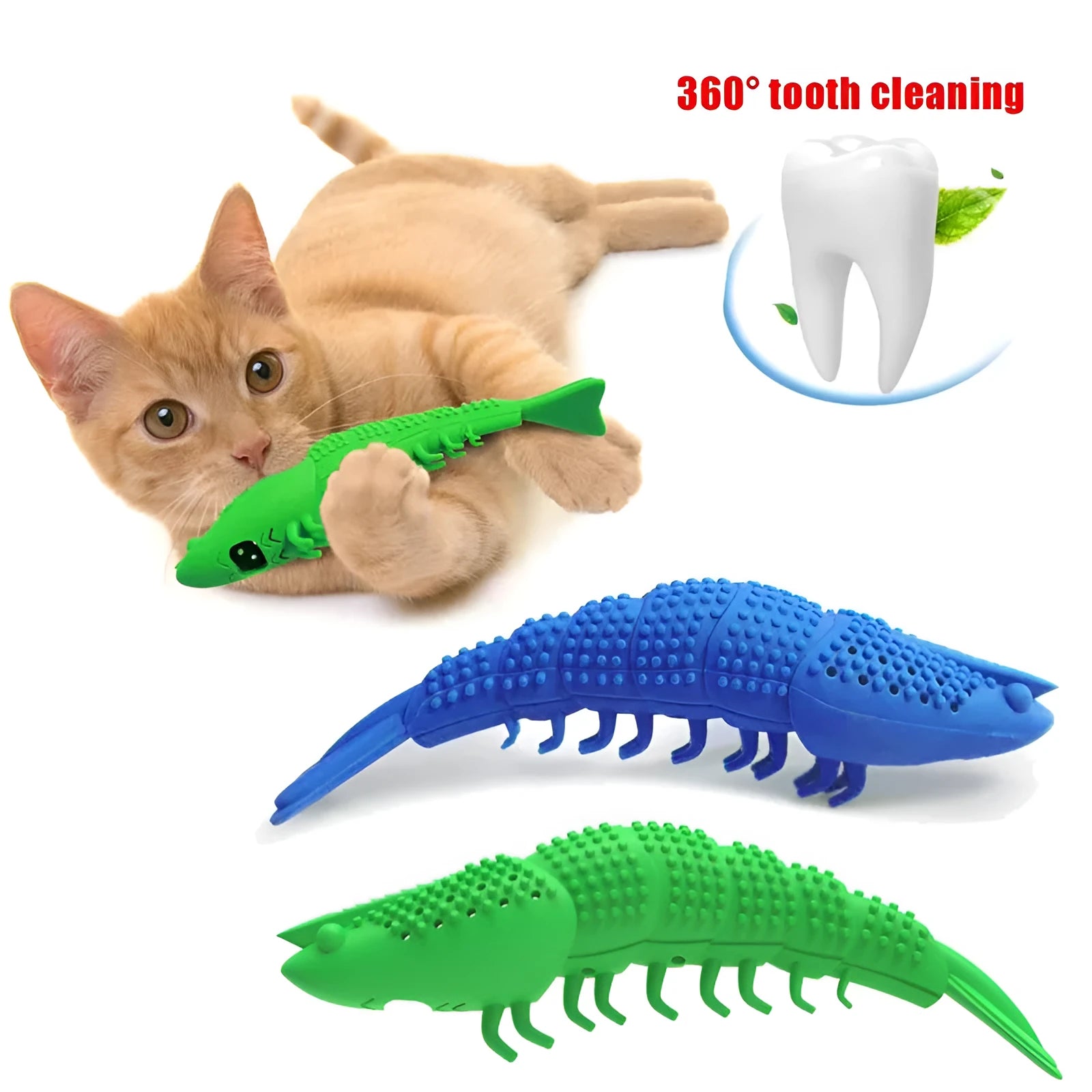 Blue hard rubber cat toy with teeth cleaning texture containing catnip and bell