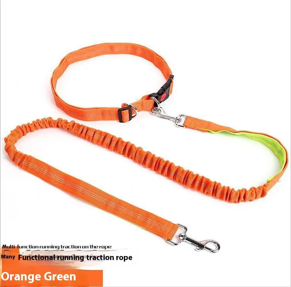 Two-tone reflective dog leash with elastic sling section for outdoor running