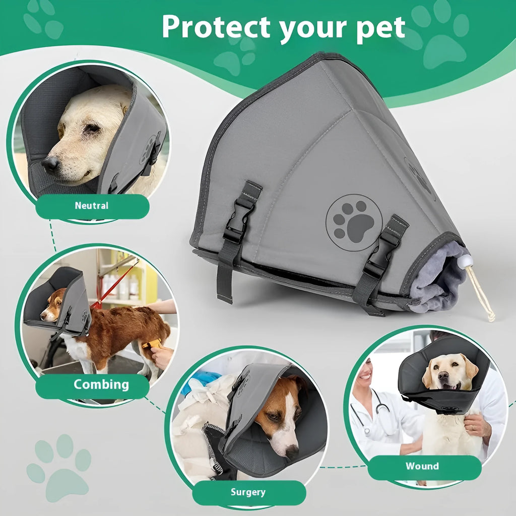 Adjustable polyester pet recovery collar in casual style, shown in L, M, and XL sizes.